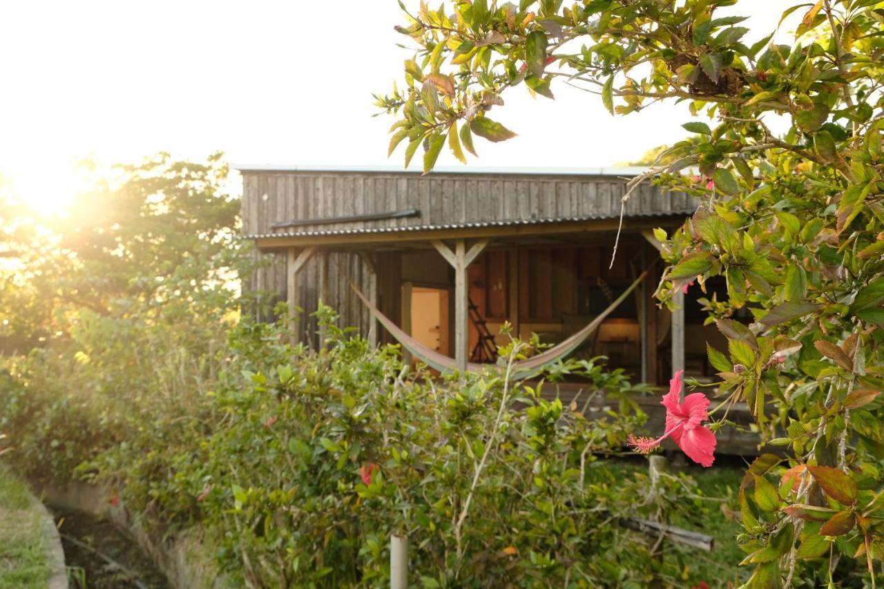 姉と弟の家 Hotel Nanjo Bagian luar foto